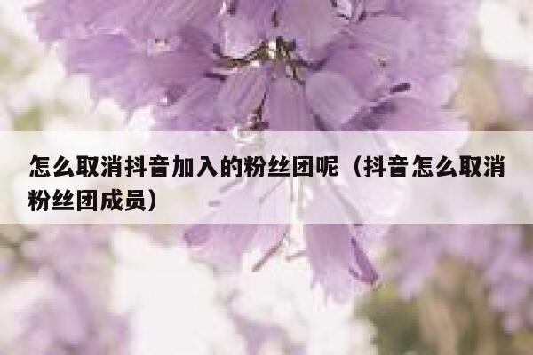 怎么取消抖音加入的粉丝团呢(抖音怎么取消粉丝团成员) 第1张 怎么取消抖音加入的粉丝团呢(抖音怎么取消粉丝团成员) 第1张