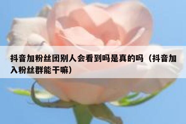 抖音加粉丝团别人会看到吗是真的吗（抖音加入粉丝群能干嘛） 第1张