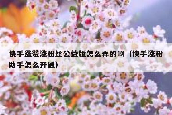 快手涨赞涨粉丝公益版怎么弄的啊（快手涨粉助手怎么开通） 第1张