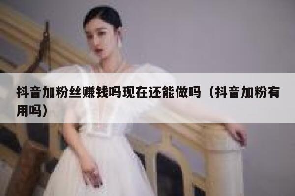 抖音加粉丝赚钱吗现在还能做吗(抖音加粉有用吗) 第1张 抖音加粉丝赚钱吗现在还能做吗(抖音加粉有用吗) 第1张