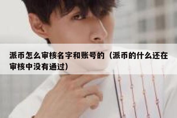 派币怎么审核名字和账号的(派币的什么还在审核中没有通过) 第1张 派币怎么审核名字和账号的(派币的什么还在审核中没有通过) 第1张