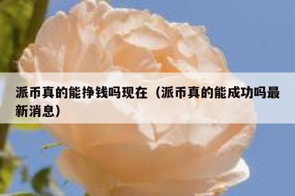派币真的能挣钱吗现在(派币真的能成功吗最新消息) 第1张 派币真的能挣钱吗现在(派币真的能成功吗最新消息) 第1张