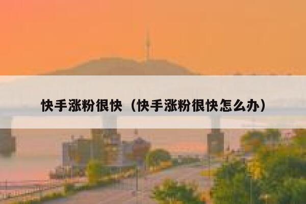 快手涨粉很快(快手涨粉很快怎么办) 第1张 快手涨粉很快(快手涨粉很快怎么办) 第1张