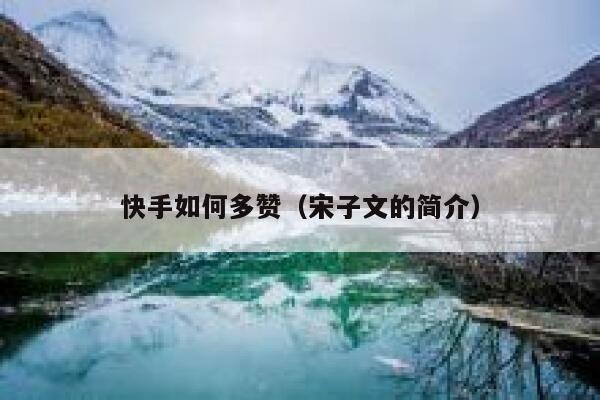 快手如何多赞（宋子文的简介） 第1张
