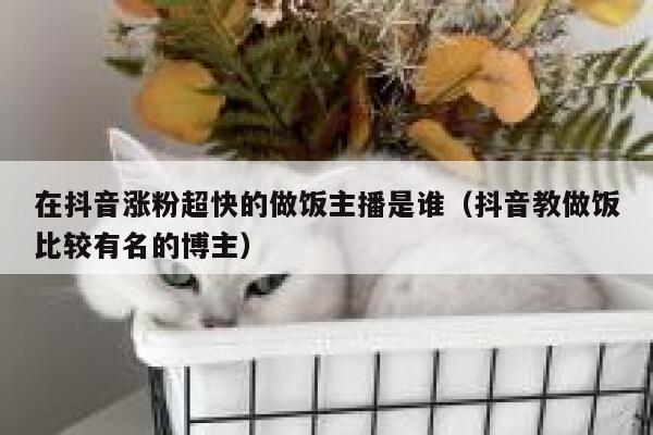 在抖音涨粉超快的做饭主播是谁（抖音教做饭比较有名的博主） 第1张