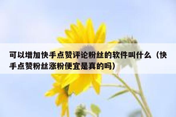 可以增加快手点赞评论粉丝的软件叫什么（快手点赞粉丝涨粉便宜是真的吗） 第1张