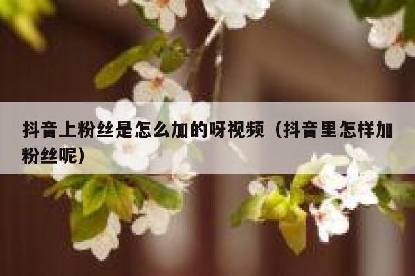 抖音上粉丝是怎么加的呀视频（抖音里怎样加粉丝呢） 第1张