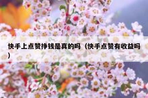 快手上点赞挣钱是真的吗(快手点赞有收益吗) 第1张 快手上点赞挣钱是真的吗(快手点赞有收益吗) 第1张