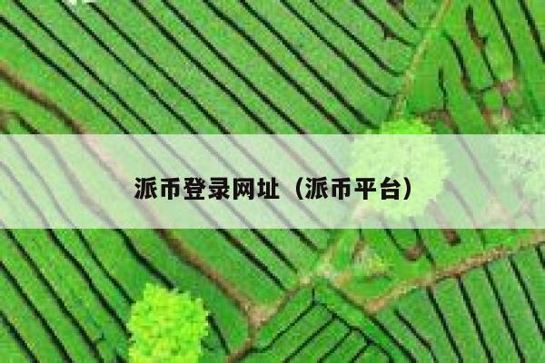 派币登录网址（派币平台） 第1张