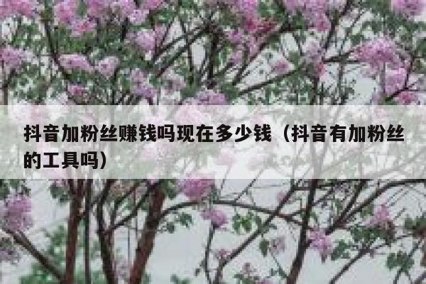 抖音加粉丝赚钱吗现在多少钱(抖音有加粉丝的工具吗) 第1张 抖音加粉丝赚钱吗现在多少钱(抖音有加粉丝的工具吗) 第1张