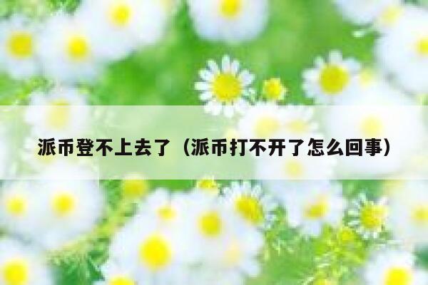 派币登不上去了（派币打不开了怎么回事） 第1张