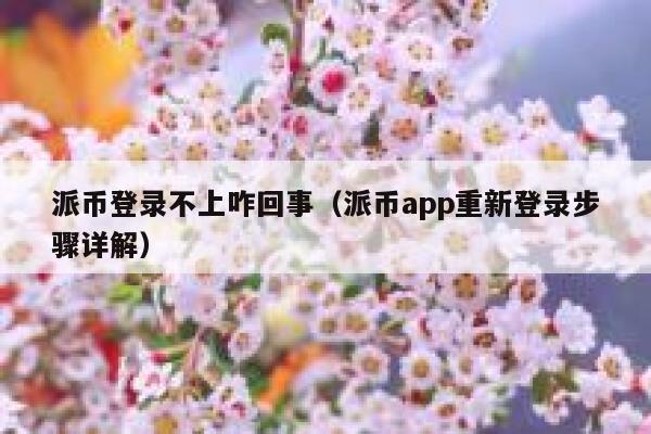 派币登录不上咋回事（派币app重新登录步骤详解） 第1张