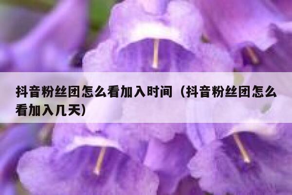 抖音粉丝团怎么看加入时间（抖音粉丝团怎么看加入几天） 第1张