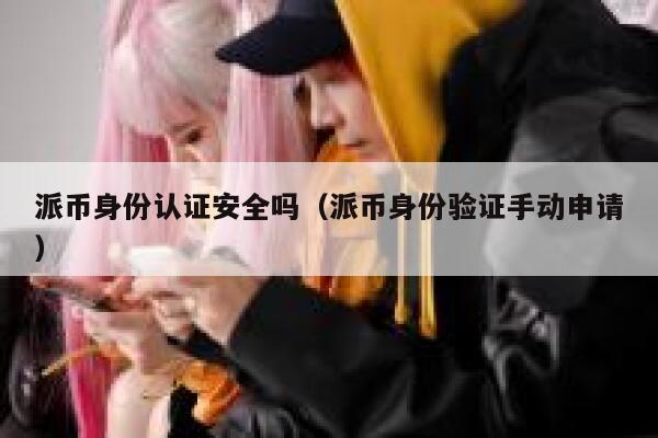派币身份认证安全吗（派币身份验证手动申请） 第1张
