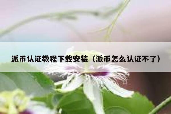 派币认证教程下载安装(派币怎么认证不了) 第1张 派币认证教程下载安装(派币怎么认证不了) 第1张