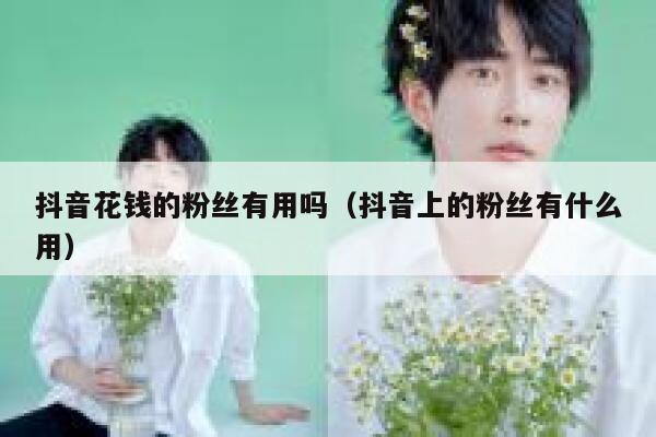 抖音花钱的粉丝有用吗(抖音上的粉丝有什么用) 第1张 抖音花钱的粉丝有用吗(抖音上的粉丝有什么用) 第1张