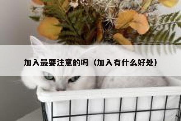 加入最要注意的吗(加入有什么好处) 第1张 加入最要注意的吗(加入有什么好处) 第1张