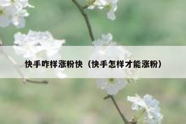 快手咋样涨粉快（快手怎样才能涨粉） 第1张