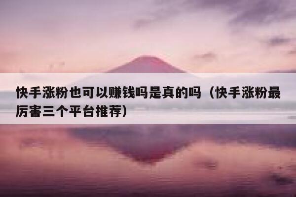 快手涨粉也可以赚钱吗是真的吗(快手涨粉最厉害三个平台推荐) 第1张 快手涨粉也可以赚钱吗是真的吗(快手涨粉最厉害三个平台推荐) 第1张