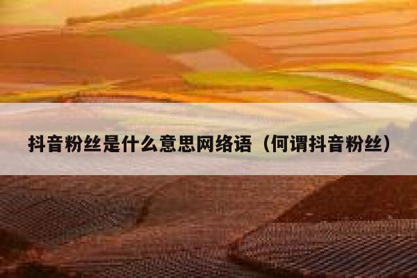 抖音粉丝是什么意思网络语（何谓抖音粉丝） 第1张