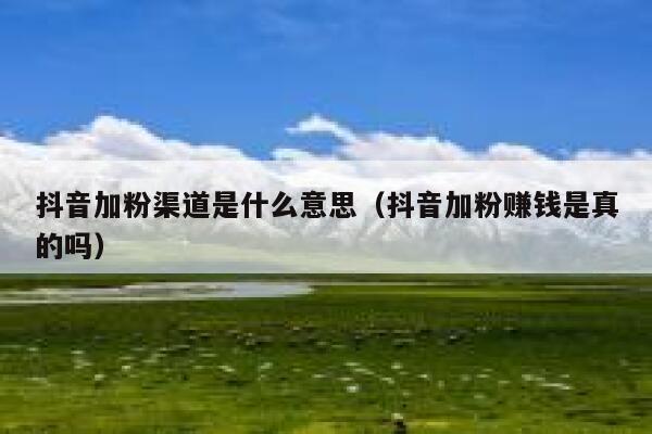 抖音加粉渠道是什么意思（抖音加粉赚钱是真的吗） 第1张