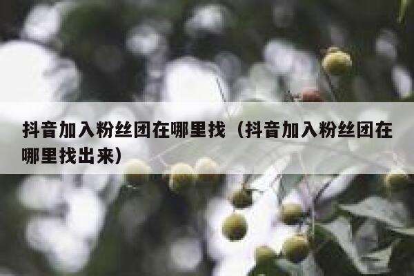 抖音加入粉丝团在哪里找(抖音加入粉丝团在哪里找出来) 第1张 抖音加入粉丝团在哪里找(抖音加入粉丝团在哪里找出来) 第1张