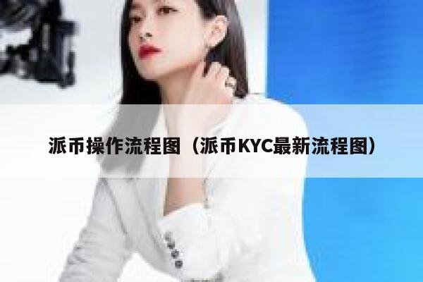 派币操作流程图（派币KYC最新流程图） 第1张