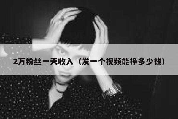 2万粉丝一天收入（发一个视频能挣多少钱） 第1张
