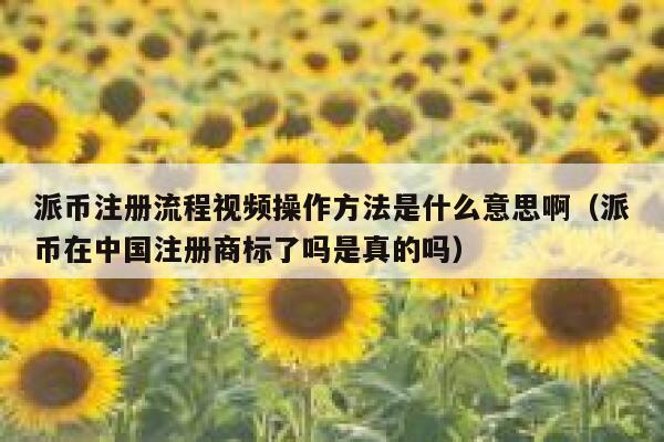 派币注册流程视频操作方法是什么意思啊（派币在中国注册商标了吗是真的吗） 第1张