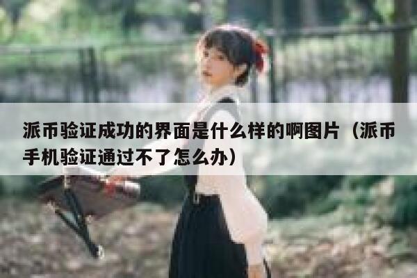 派币验证成功的界面是什么样的啊图片（派币手机验证通过不了怎么办） 第1张