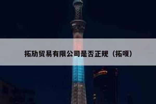 拓劢贸易有限公司是否正规（拓嗄） 第1张