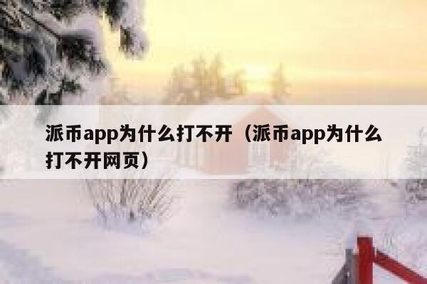 派币app为什么打不开（派币app为什么打不开网页） 第1张