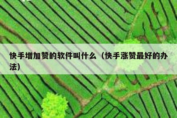 快手增加赞的软件叫什么（快手涨赞最好的办法） 第1张