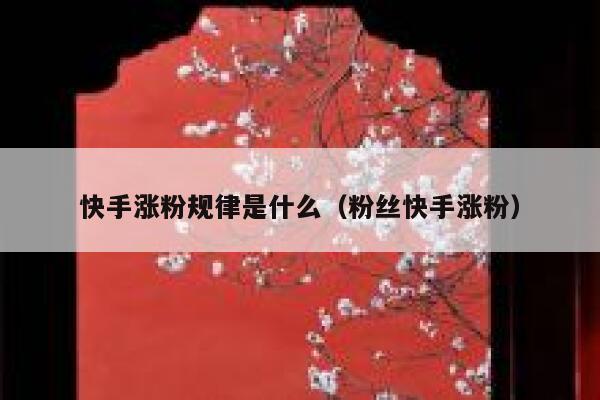 快手涨粉规律是什么(粉丝快手涨粉) 第1张 快手涨粉规律是什么(粉丝快手涨粉) 第1张
