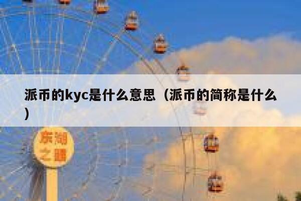 派币的kyc是什么意思(派币的简称是什么) 第1张 派币的kyc是什么意思(派币的简称是什么) 第1张