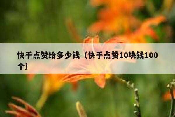快手点赞给多少钱(快手点赞10块钱100个) 第1张 快手点赞给多少钱(快手点赞10块钱100个) 第1张