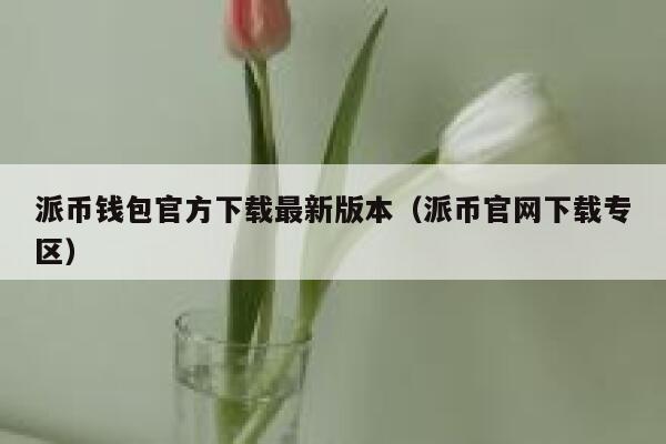 派币钱包官方下载最新版本（派币官网下载专区） 第1张