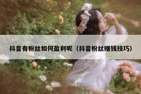 抖音有粉丝如何盈利呢（抖音粉丝赚钱技巧） 第1张