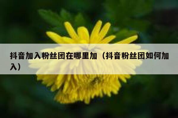 抖音加入粉丝团在哪里加（抖音粉丝团如何加入） 第1张