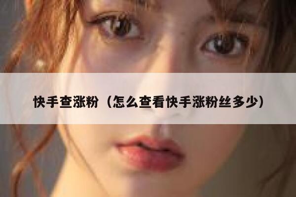 快手查涨粉（怎么查看快手涨粉丝多少） 第1张