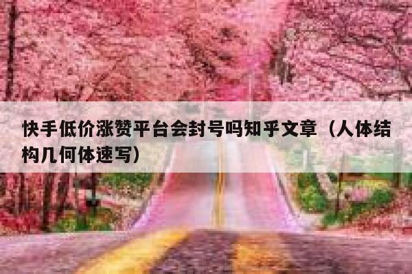 快手低价涨赞平台会封号吗知乎文章(人体结构几何体速写) 第1张 快手低价涨赞平台会封号吗知乎文章(人体结构几何体速写) 第1张