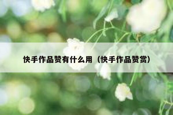 快手作品赞有什么用（快手作品赞赏） 第1张
