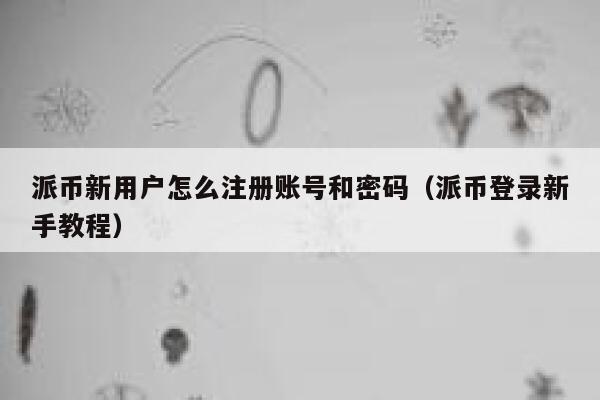 派币新用户怎么注册账号和密码(派币登录新手教程) 第1张 派币新用户怎么注册账号和密码(派币登录新手教程) 第1张