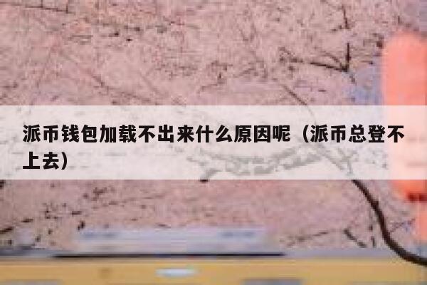 派币钱包加载不出来什么原因呢（派币总登不上去） 第1张