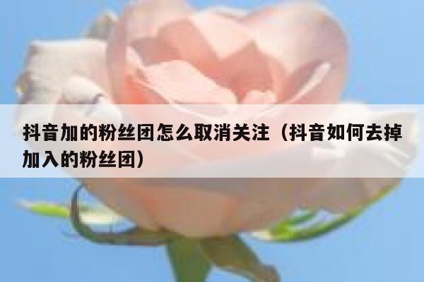 抖音加的粉丝团怎么取消关注(抖音如何去掉加入的粉丝团) 第1张 抖音加的粉丝团怎么取消关注(抖音如何去掉加入的粉丝团) 第1张
