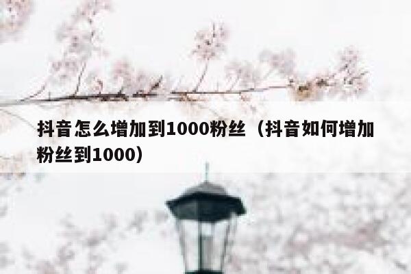 抖音怎么增加到1000粉丝(抖音如何增加粉丝到1000) 第1张 抖音怎么增加到1000粉丝(抖音如何增加粉丝到1000) 第1张