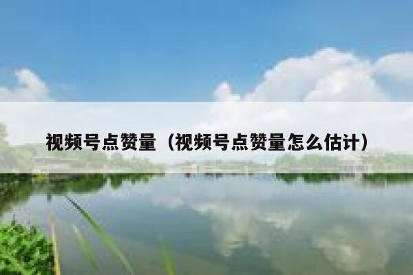 视频号点赞量（视频号点赞量怎么估计） 第1张