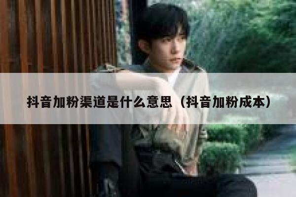 抖音加粉渠道是什么意思（抖音加粉成本） 第1张