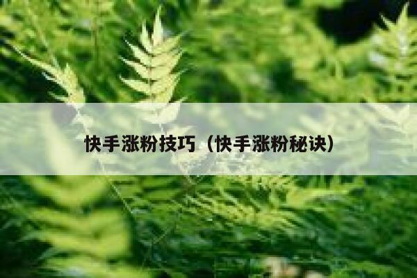 快手涨粉技巧（快手涨粉秘诀） 第1张