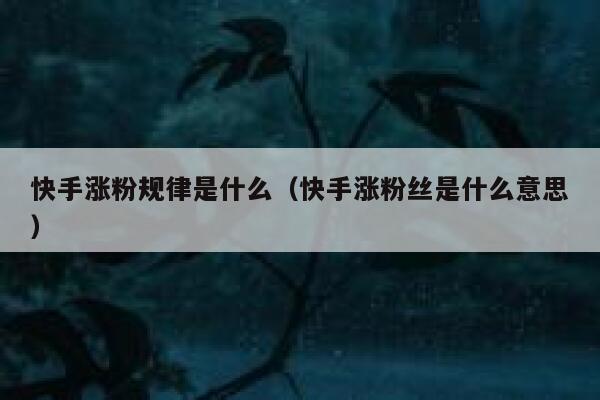 快手涨粉规律是什么（快手涨粉丝是什么意思） 第1张